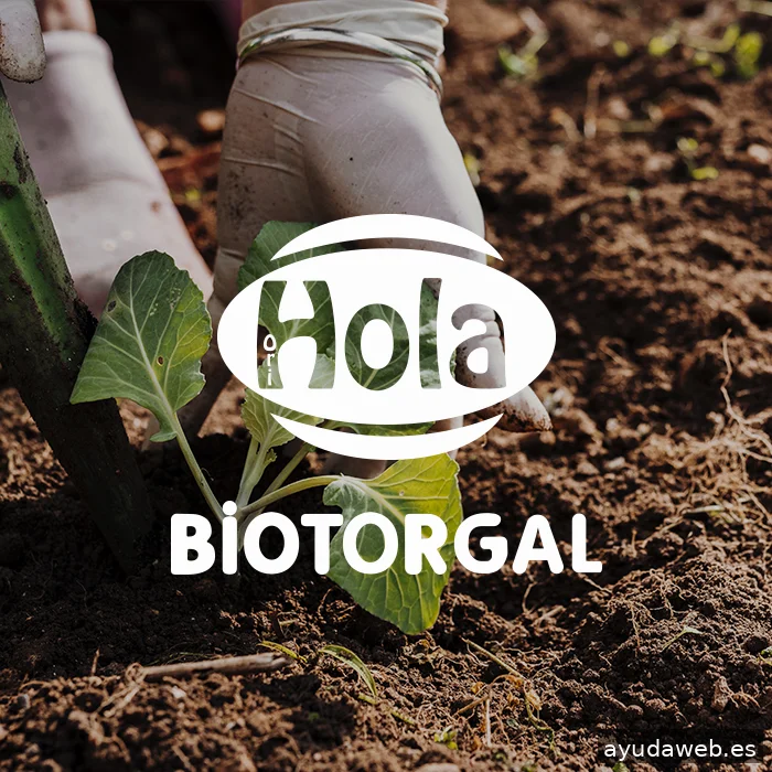 DC Departamento Creativo