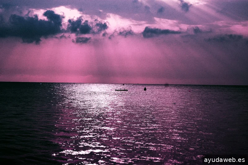 Imagored, S.L.