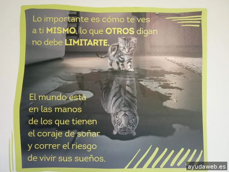 BID Soluciones