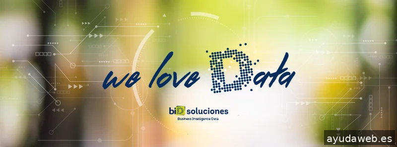 BID Soluciones
