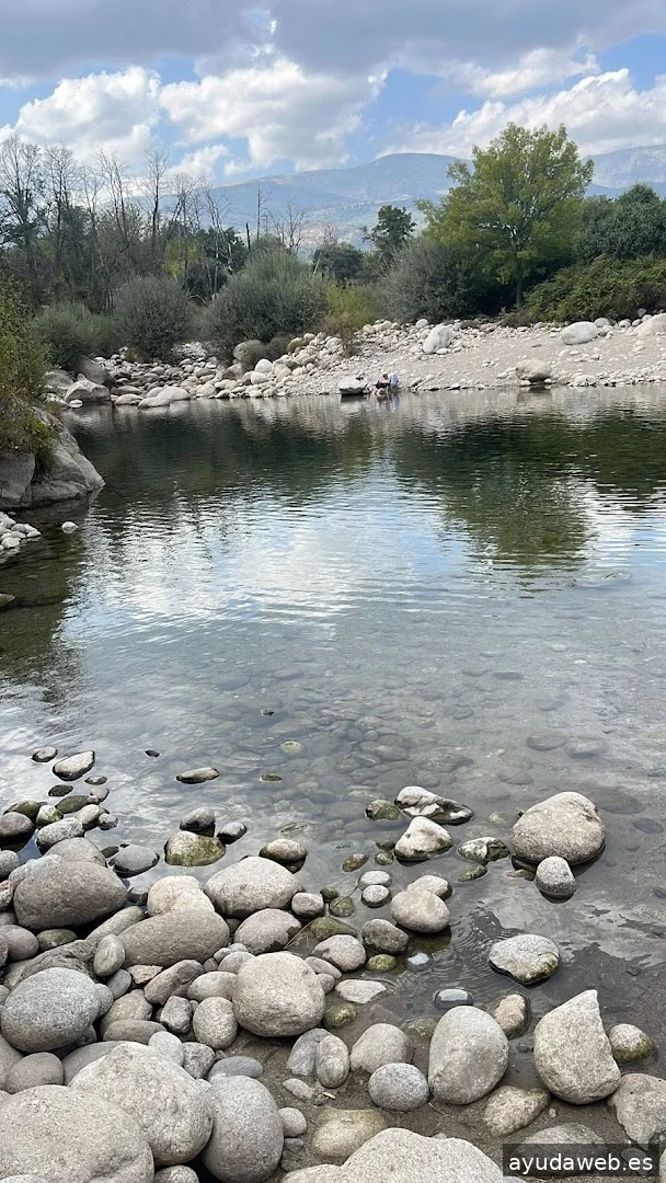 Agencia de marketing GlobalNetSide S.L.