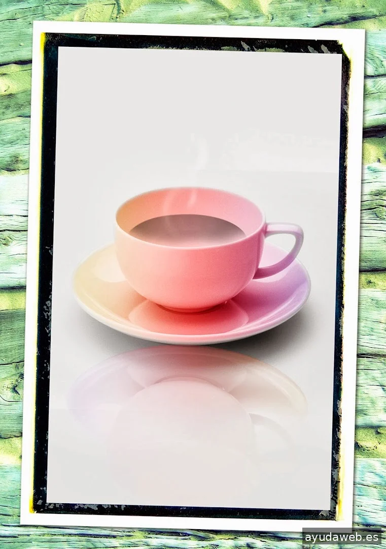 ELENA LOSADA - disseny gràfic, il·lustració, multimèdia, disseny web