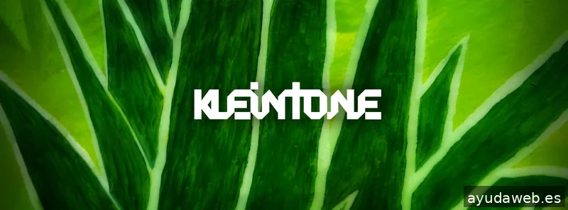 KLEINTONE Arte y Diseño