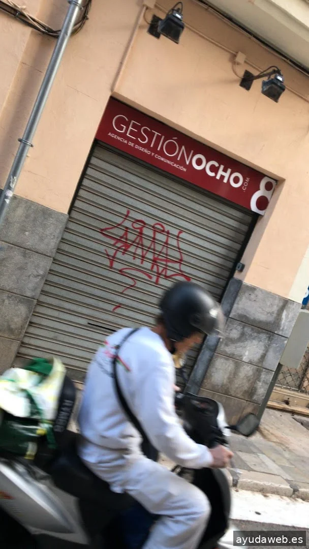 Gestión 8