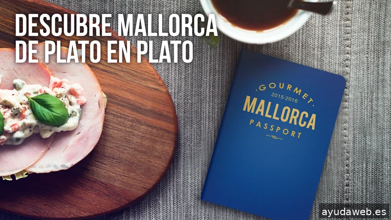 Gestión 8