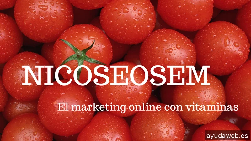 NicoSEOSEM