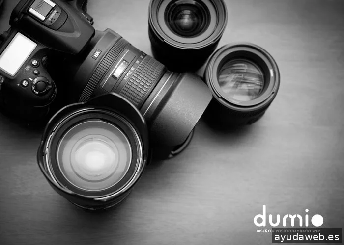 Dumio - Diseño Web Pamplona y Posicionamiento SEO