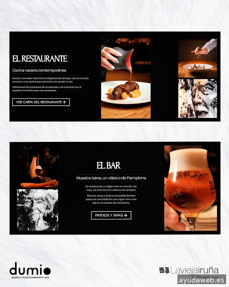 Dumio - Diseño Web Pamplona y Posicionamiento SEO