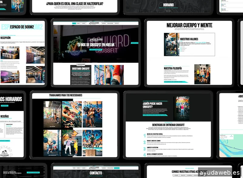 Dumio - Diseño Web Pamplona y Posicionamiento SEO