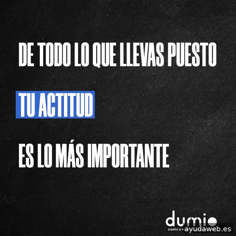 Dumio - Diseño Web Pamplona y Posicionamiento SEO