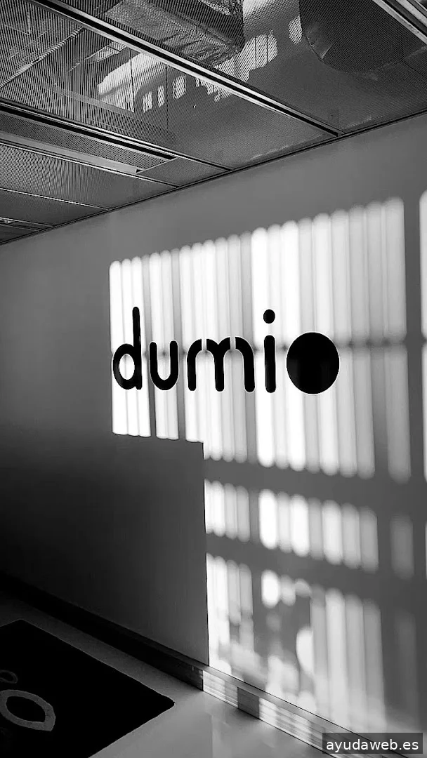 Dumio - Diseño Web Pamplona y Posicionamiento SEO