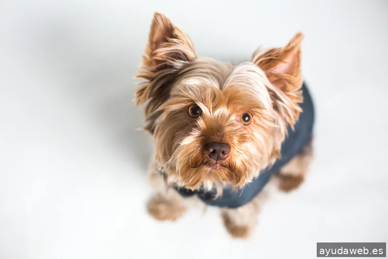 La Cubeta, estudio fotográfico