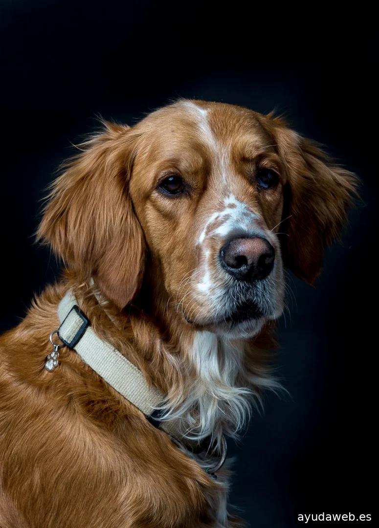 La Cubeta, estudio fotográfico