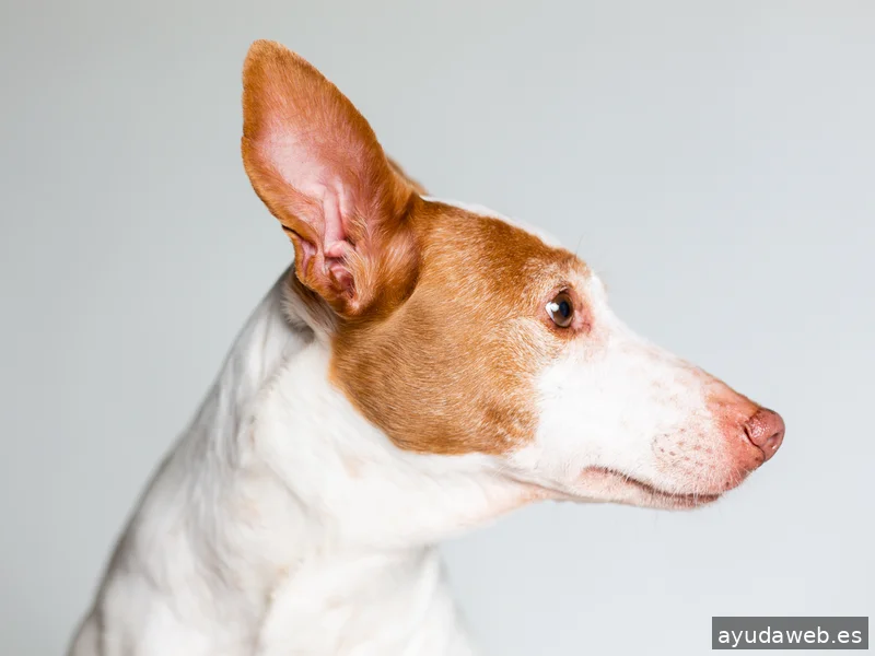 La Cubeta, estudio fotográfico