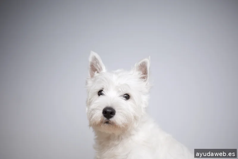 La Cubeta, estudio fotográfico