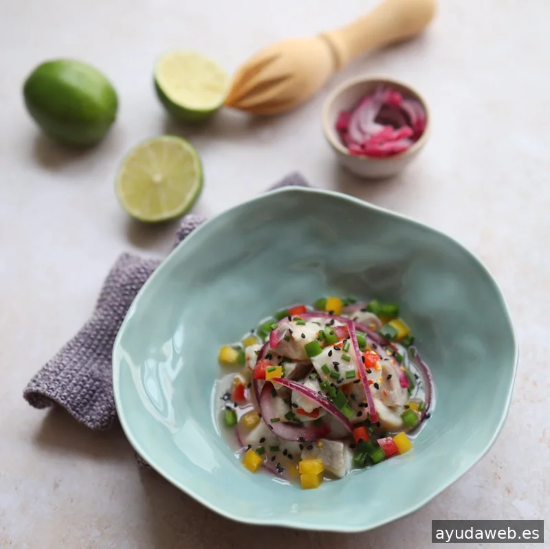 Carlota Fariña - Redes Sociales y Fotografía