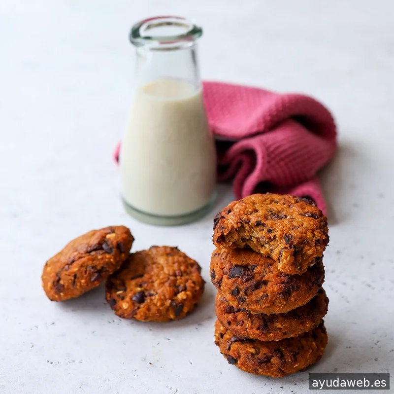 Carlota Fariña - Redes Sociales y Fotografía