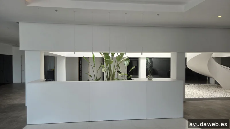 Tactika Digital - Agencia de Marketing Digital en Valencia