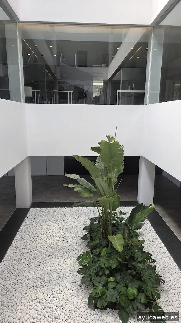 Tactika Digital - Agencia de Marketing Digital en Valencia