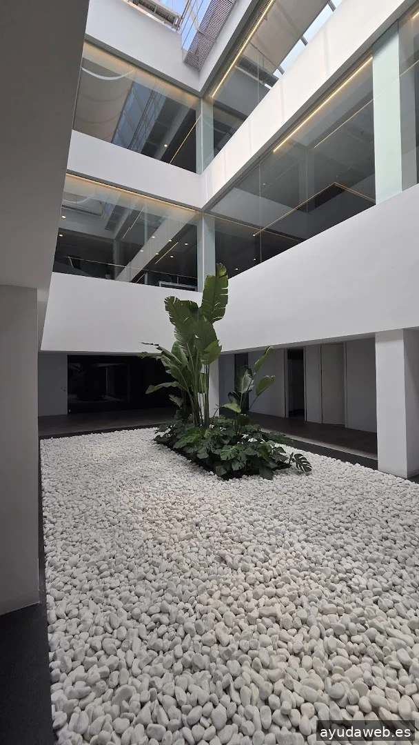 Tactika Digital - Agencia de Marketing Digital en Valencia