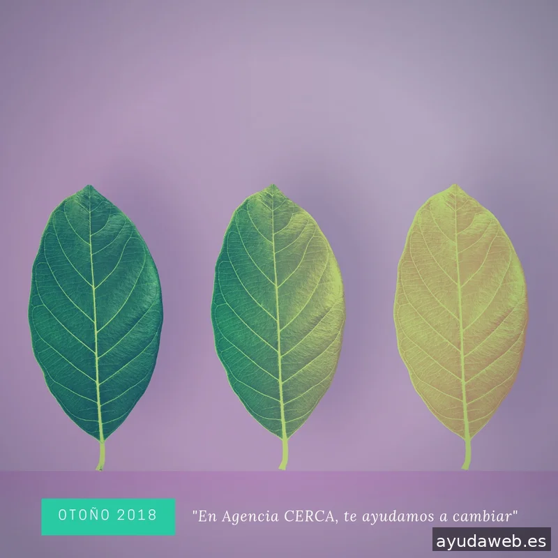 Agencia Cerca