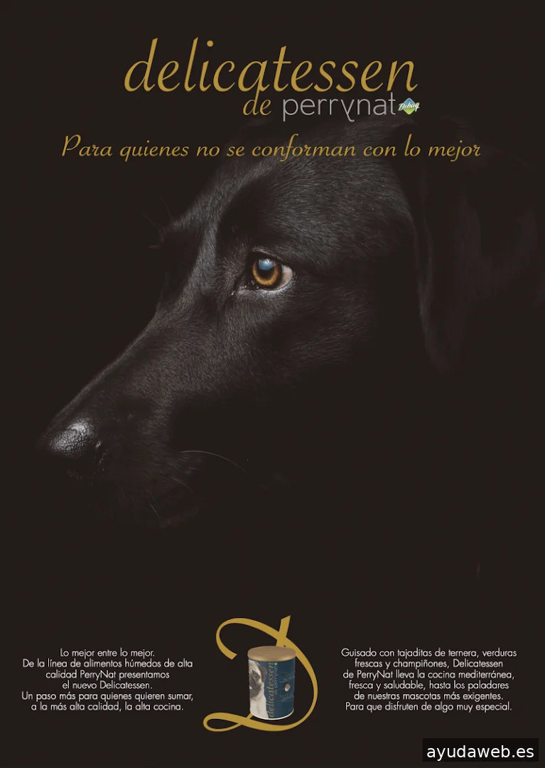 Artichokes Publicidad