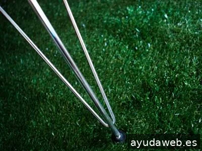 picnic, espacio de comunicación creativa