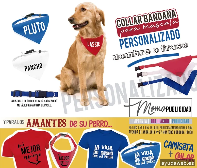 MOMO PUBLICIDAD