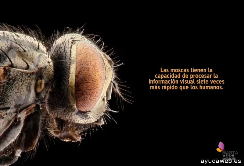 Marta Abril Creativos | AGENCIA DE PUBLICIDAD