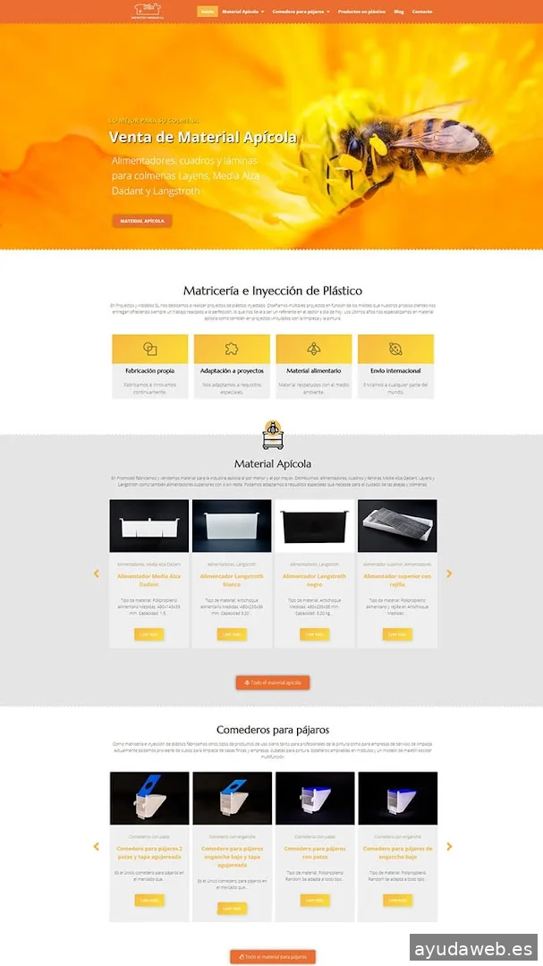 Diseño Web y SEO en Sagunto