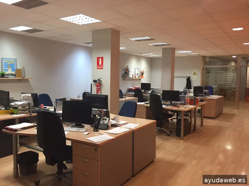 Avellana Digital - Disseny web