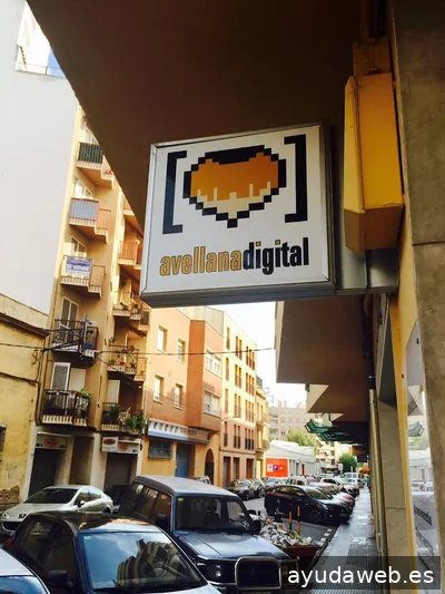 Avellana Digital - Disseny web