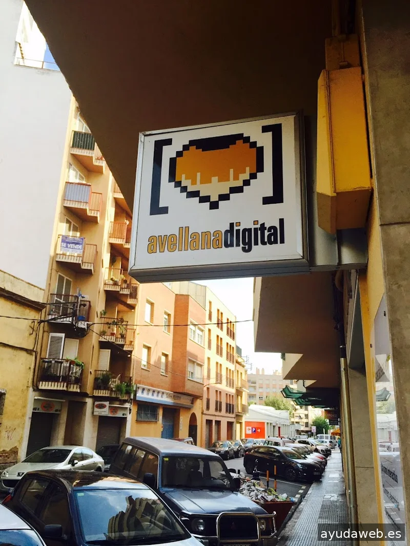 Avellana Digital - Disseny web