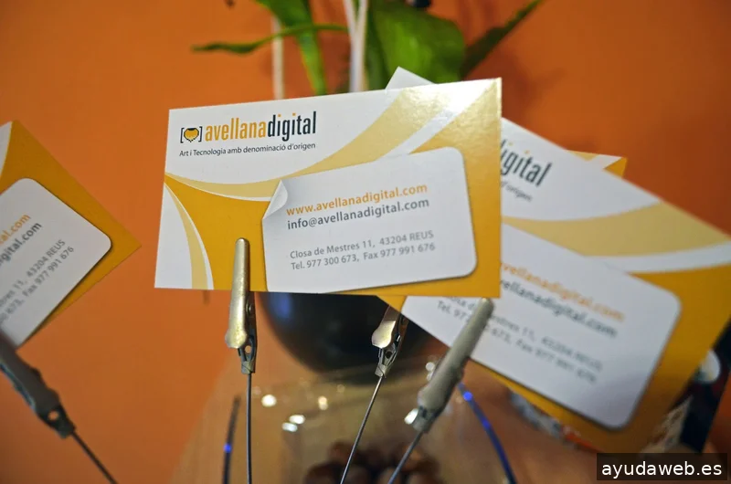 Avellana Digital - Disseny web