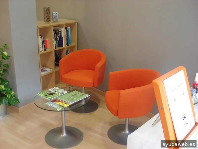 Avellana Digital - Disseny web