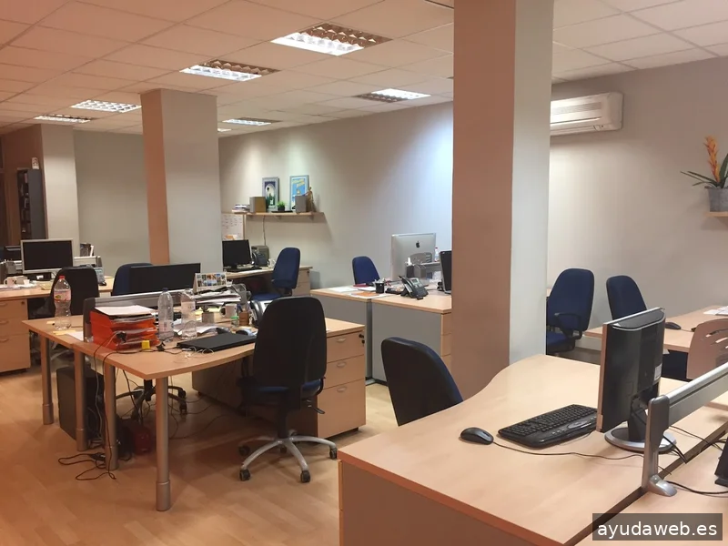 Avellana Digital - Disseny web