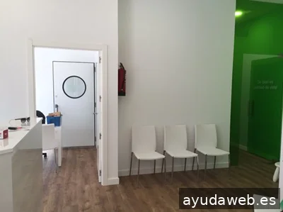 ana soini - Diseño y Branding Barcelona