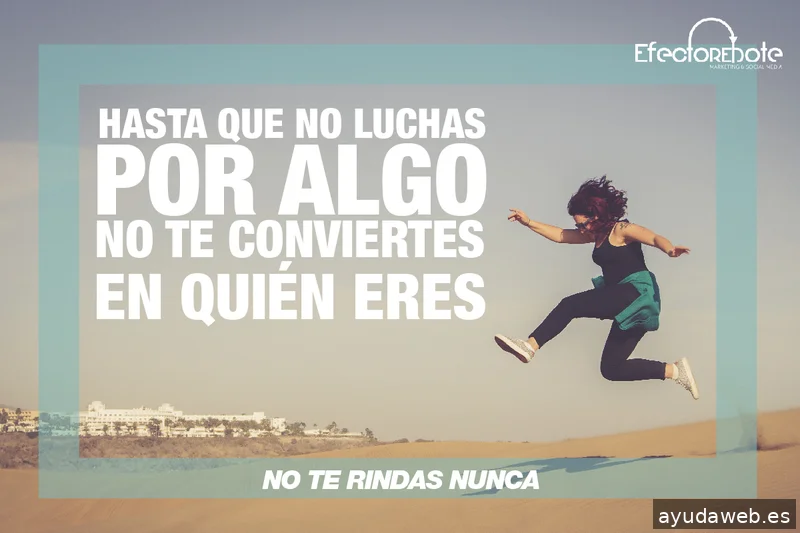 EfectoRebote - Soluciones Digitales & IA