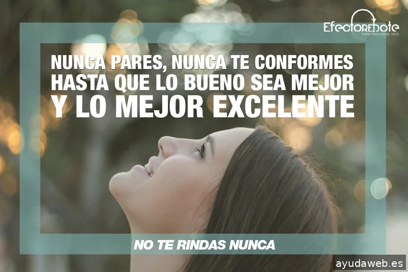 EfectoRebote - Soluciones Digitales & IA