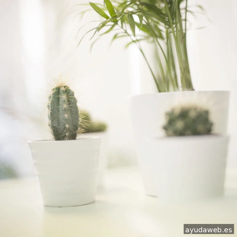 GMEDIA | Agencia SEO - Diseño Web