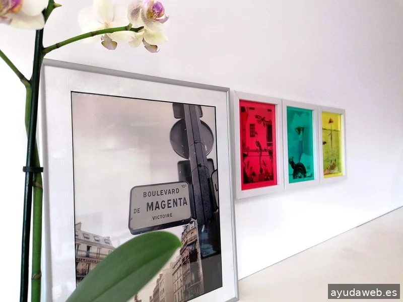 magenta agencia de publicidad