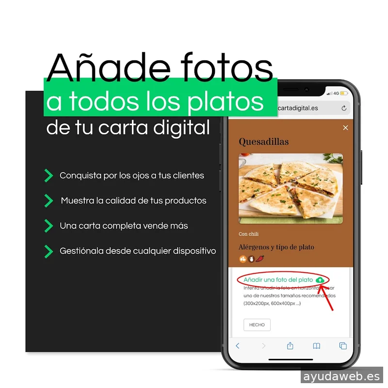 Avocaty.io