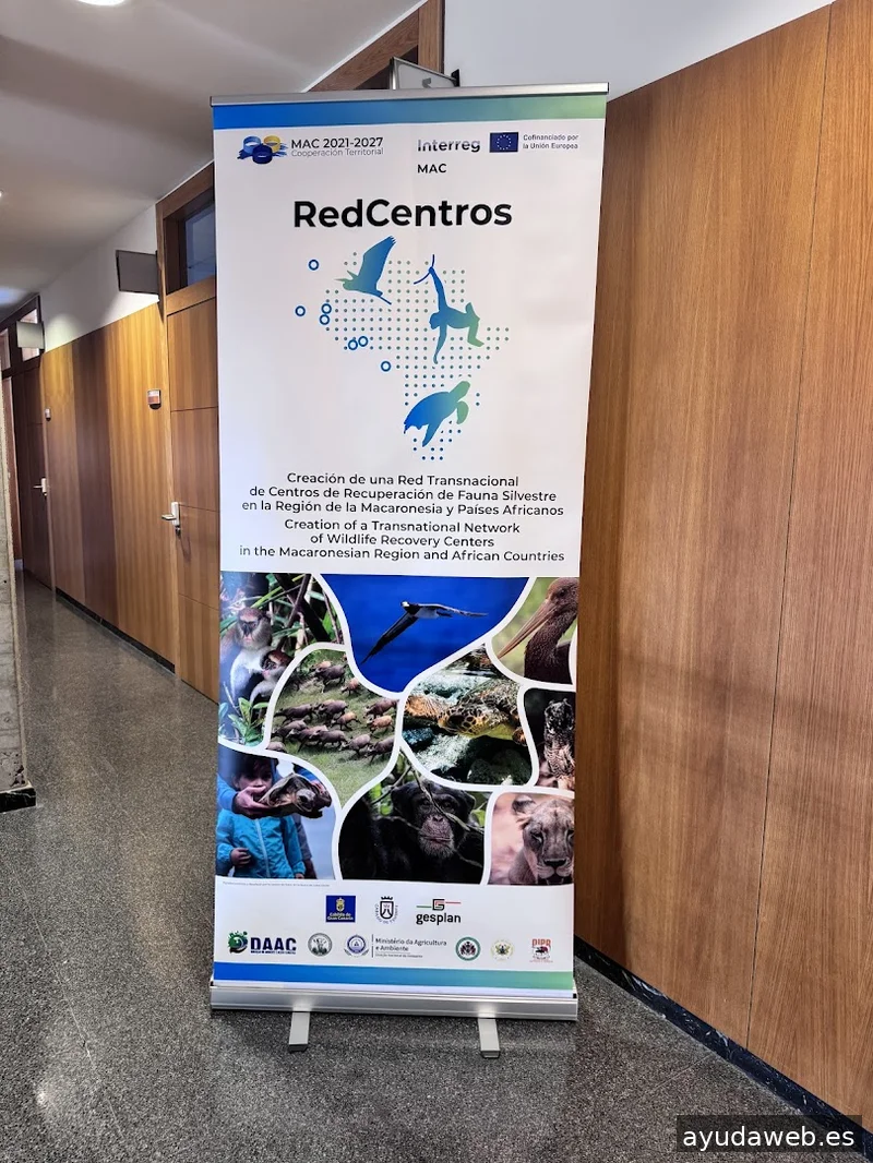 Reglade3 Diseño Industrial y Gráfico