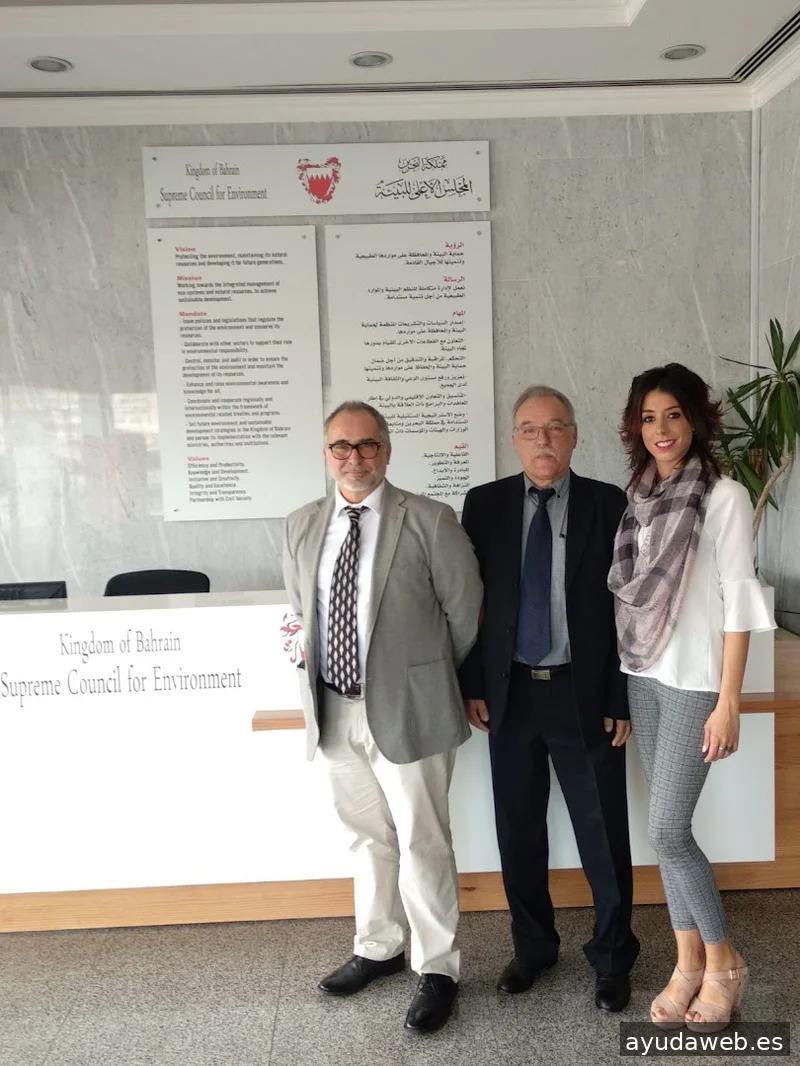 ARTEMIS - Agencia de Marketing y Comunicación