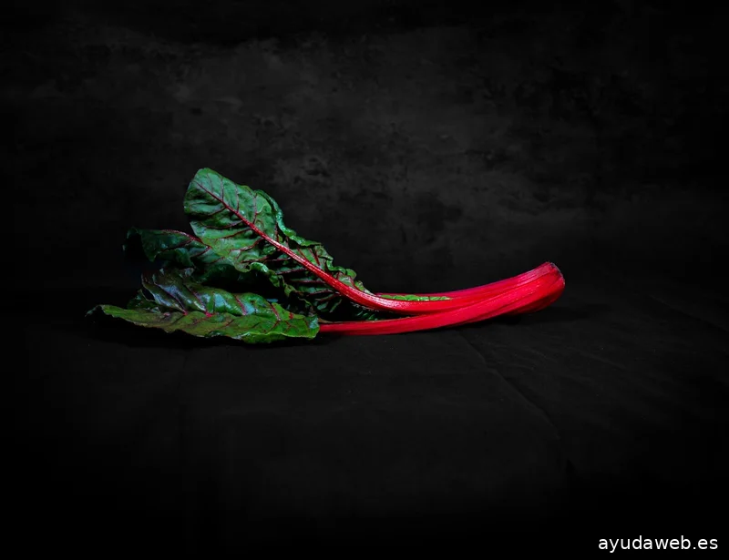 ARTEMIS - Agencia de Marketing y Comunicación