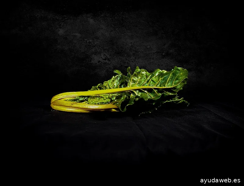 ARTEMIS - Agencia de Marketing y Comunicación