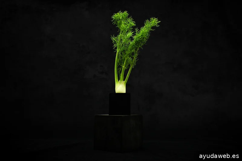 ARTEMIS - Agencia de Marketing y Comunicación