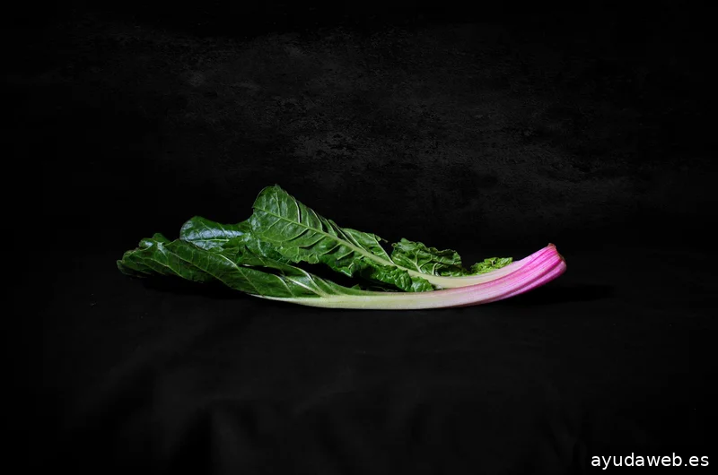 ARTEMIS - Agencia de Marketing y Comunicación