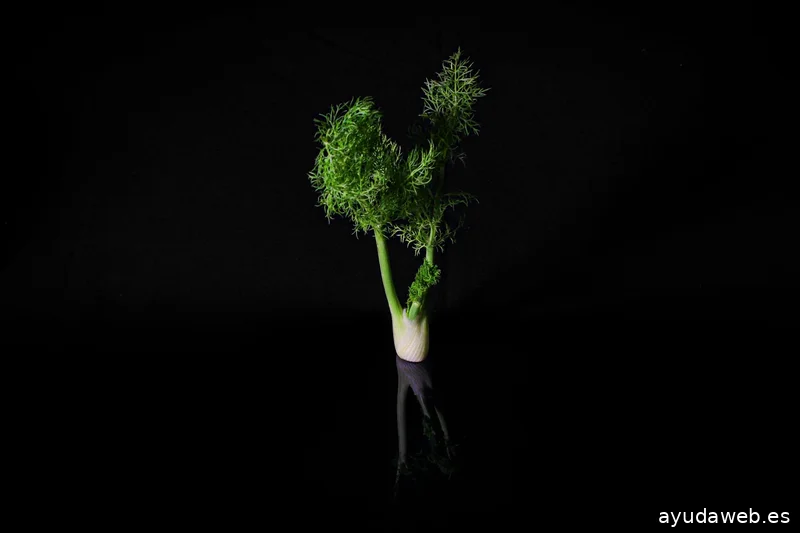 ARTEMIS - Agencia de Marketing y Comunicación