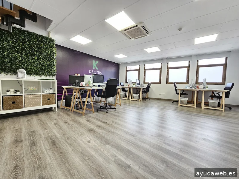 Agencia KACTUS | Marketing Digital y Publicidad con IA